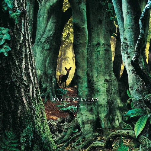 Manafon - David Sylvian