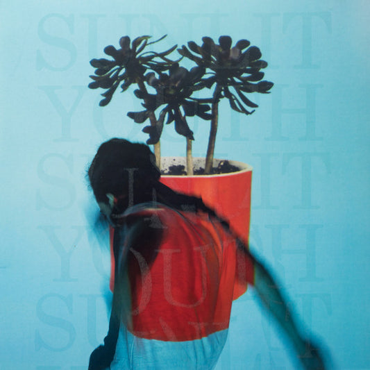 Local Natives – Sunlit Youth